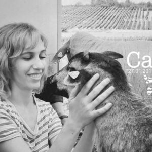 Live and let live Kamerunschaf Carlo
