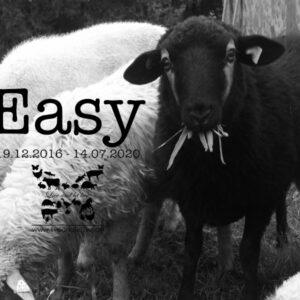 Live and let live Patenschaft Easy
