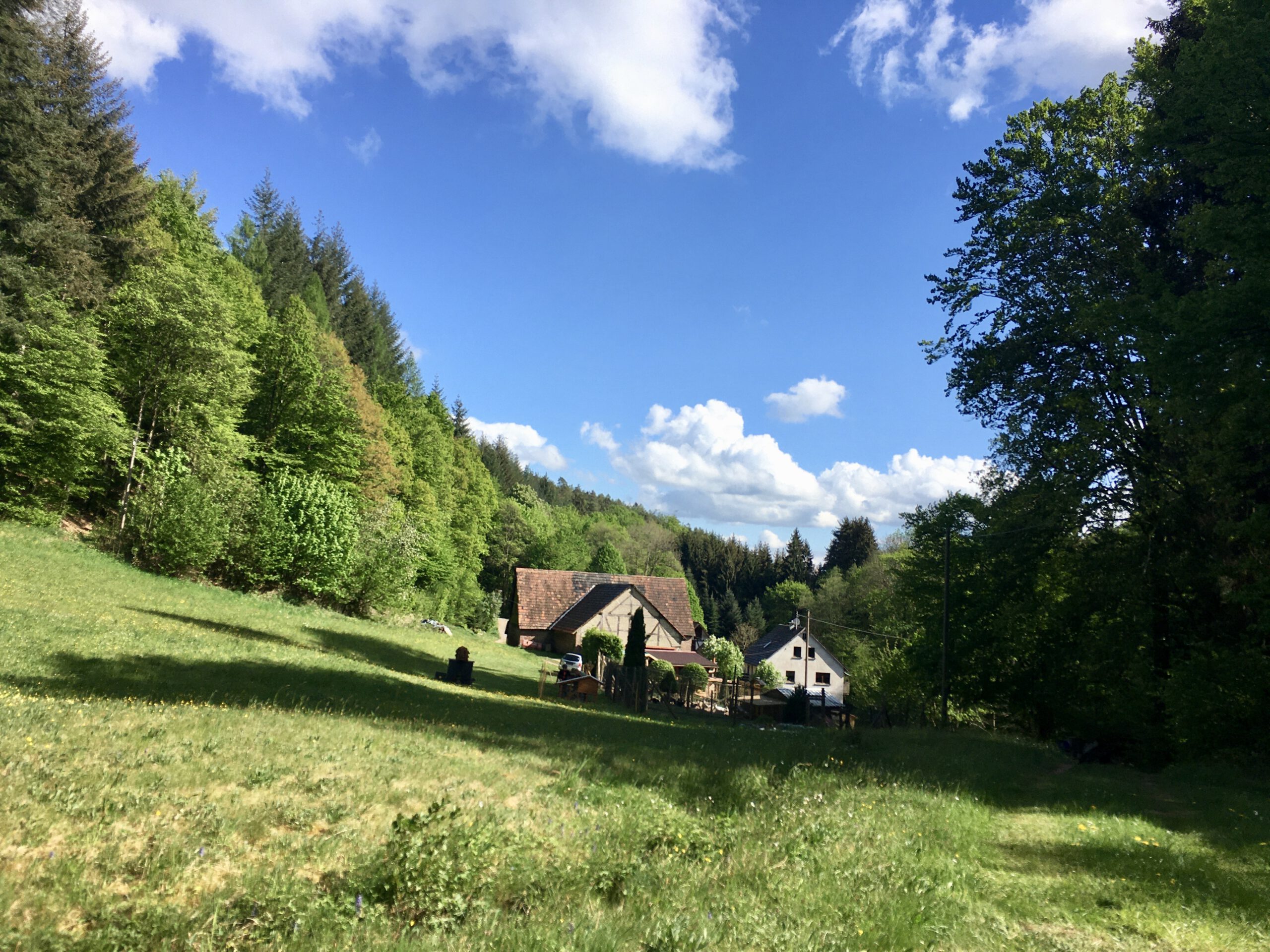 Eigener Lebenshof im Odenwald