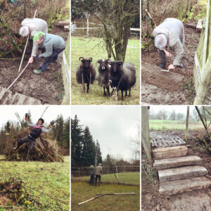 Live and let live rettet Schaf Omas